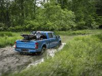 Ford Super Duty Tremor (2020) - picture 8 of 10