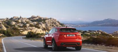 Jaguar F-PACE Checkered Limited Edition (2020) - picture 4 of 5
