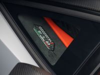 Lamborghini SVJ 63 Roadster (2020) - picture 13 of 13