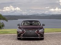 Lexus LS 500 Inspiration Edition (2020) - picture 1 of 7