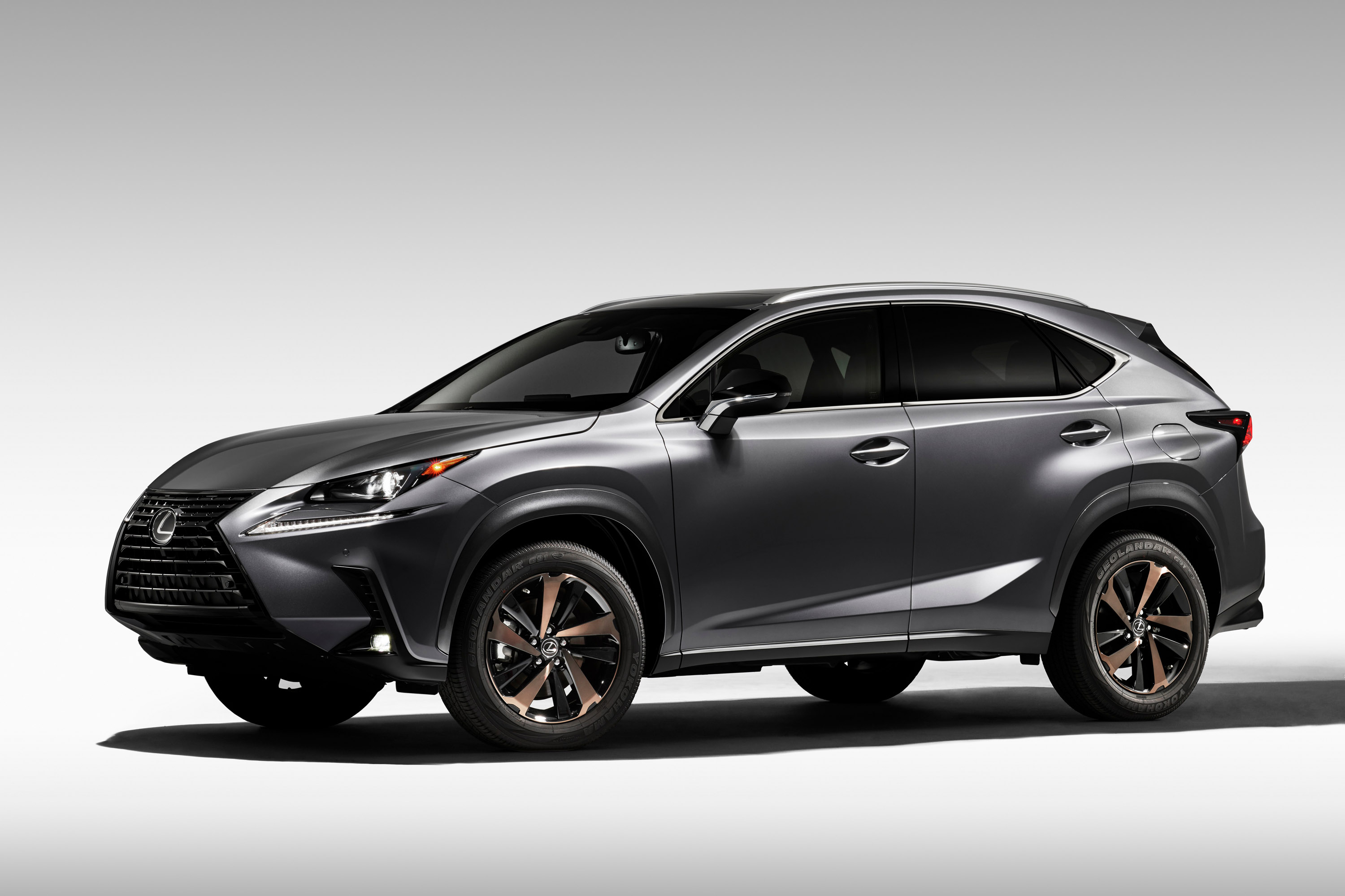 Lexus NX Special Edition