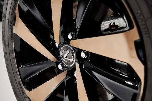 Lexus NX Special Edition (2020) - picture 9 of 9