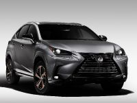 Lexus NX Special Edition (2020) - picture 1 of 9