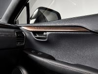 Lexus NX Special Edition (2020) - picture 6 of 9