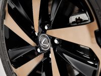 Lexus NX Special Edition (2020)