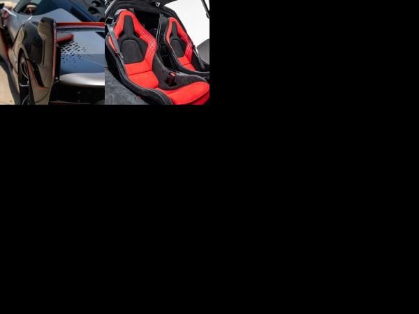 McLaren Sabre (2020) - picture 13 of 14