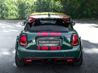 Mini F350 (2020) - picture 10 of 17