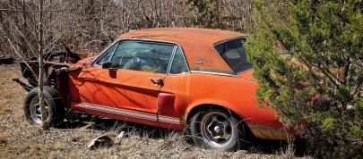 Mustang Shelby Green Hornet and Little Red (2020) - picture 4 of 4