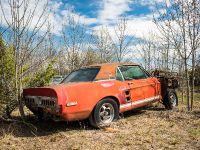 Mustang Shelby Green Hornet and Little Red (2020) - picture 3 of 4