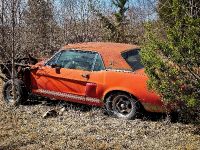 Mustang Shelby Green Hornet and Little Red (2020) - picture 4 of 4