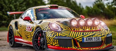 Porsche von Motopark (2020) - picture 7 of 34