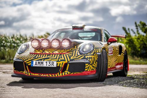 Porsche von Motopark (2020) - picture 16 of 34