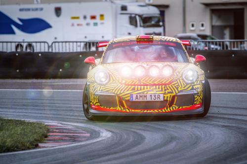 Porsche von Motopark (2020) - picture 33 of 34