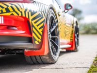 Porsche von Motopark (2020) - picture 13 of 34