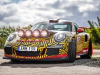 Porsche von Motopark (2020)