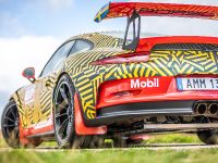 Porsche von Motopark (2020) - picture 27 of 34