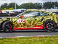 Porsche von Motopark (2020)