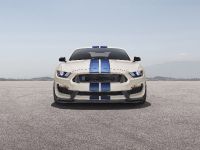Shelby GR350R Heritage Edition (2020) - picture 2 of 9