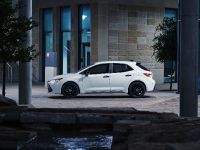 Toyota Corolla Nightshade (2020) - picture 6 of 15