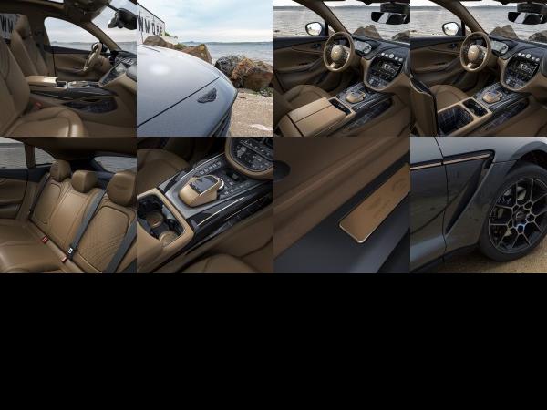 Aston Martin DBX Bowmore Edition (2021) - picture 13 of 20