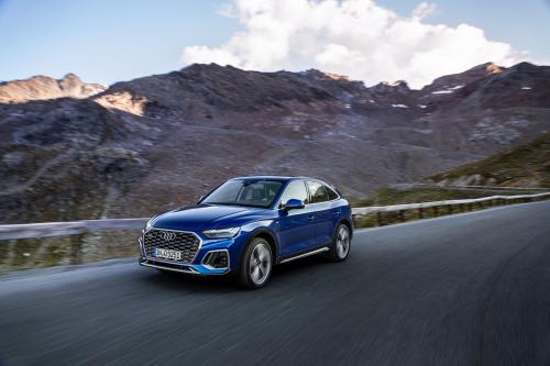 Audi Q5 familiarity (2021) - picture 1 of 13