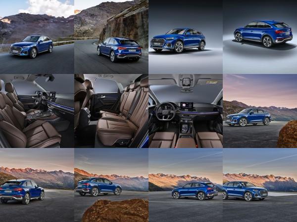 Audi Q5 familiarity (2021) - picture 1 of 13