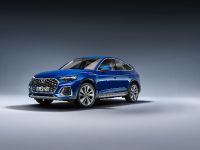 Audi Q5 familiarity (2021)