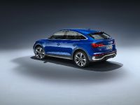 Audi Q5 familiarity (2021)