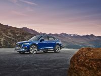 Audi Q5 familiarity (2021)