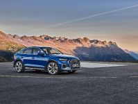 Audi Q5 familiarity (2021)