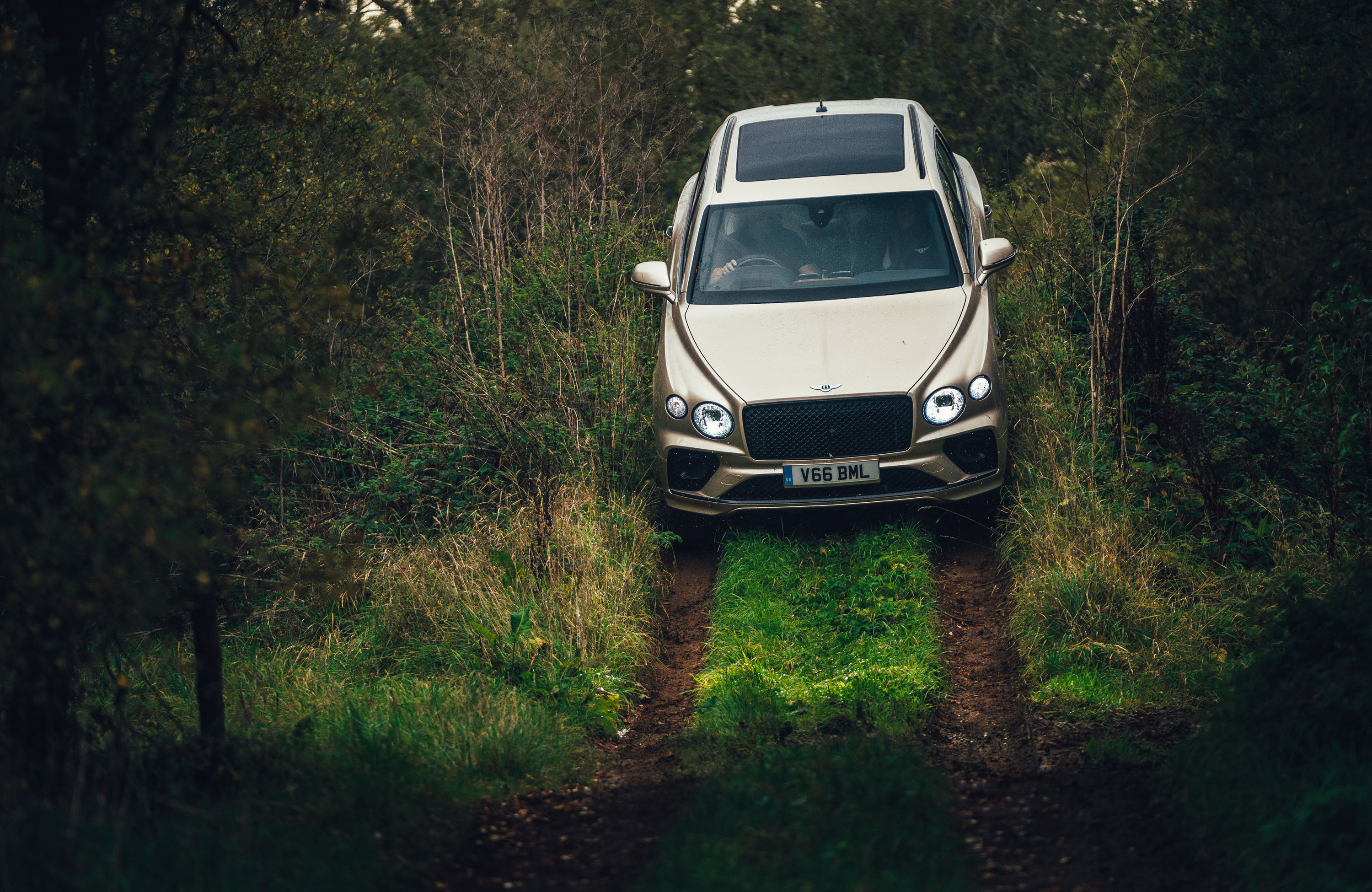 Bentley Bentayga V8 SUV