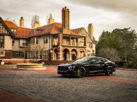 Bentley Continental Pikes Peak GT (2021) - picture 5 of 6