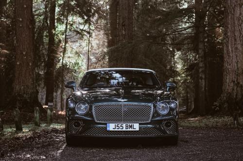 Bentley pledges (2021) - picture 9 of 9