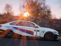 BMW Motorsport SIM Racing (2021) - picture 11 of 13