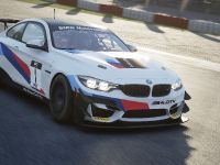BMW Motorsport SIM Racing (2021)