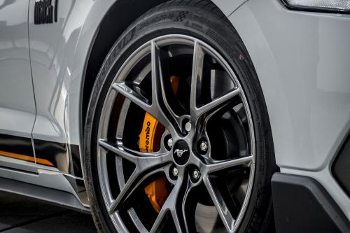 Ford Mustang Mach 1 (2021) - picture 17 of 32