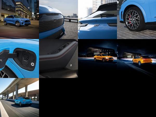 Ford Mustang Mach-E GT (2021) - picture 1 of 9