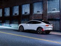 Ford Mustang Mach-E (2021)