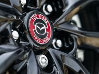 Mazda 100th Anniversary (2021)