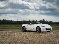 Mazda 100th Anniversary (2021)