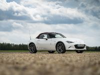 Mazda 100th Anniversary (2021)