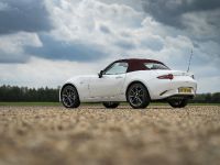 Mazda 100th Anniversary (2021)