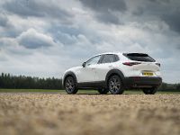 Mazda 100th Anniversary (2021)