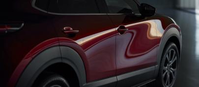 Mazda CX 30 (2021) - picture 44 of 72