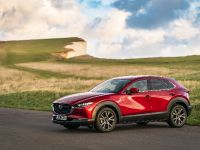 Mazda CX 30 (2021) - picture 11 of 72
