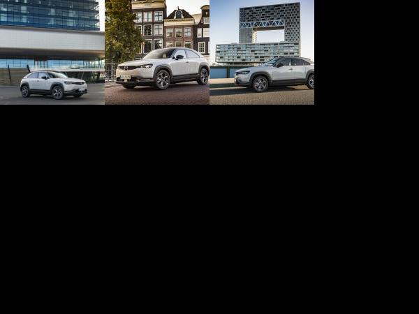 Mazda MX-30 (2021) - picture 13 of 15