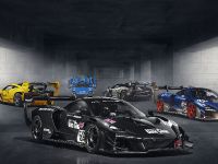 McLaren Senna GTR (2021)