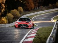 Mercedes-AMG GT Black Series new (2021) - picture 11 of 14