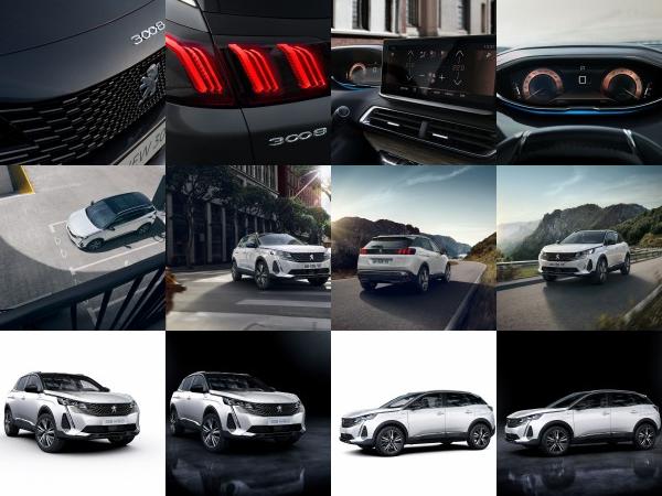 PEUGEOT 3008 SUV (2021) - picture 13 of 28