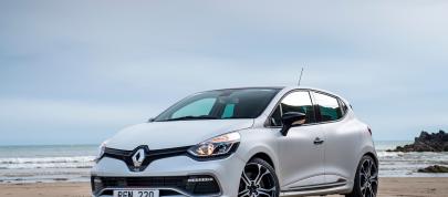 Renault Clio 30 years (2021) - picture 15 of 19